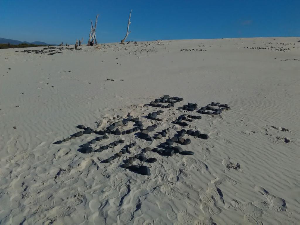 Domos Le Due Tuie Panzió Piscinas Kültér fotó