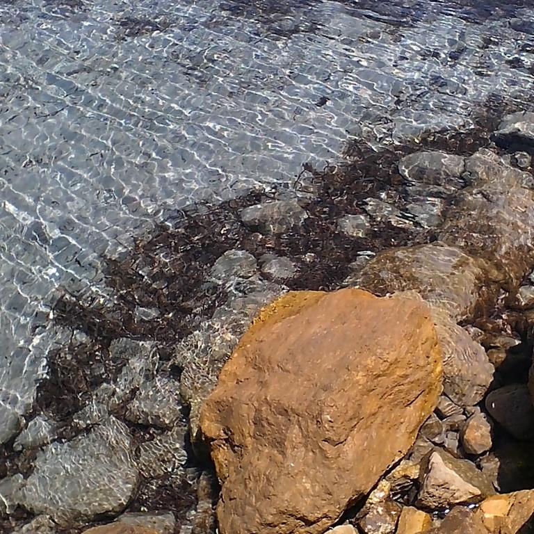 Domos Le Due Tuie Panzió Piscinas Kültér fotó